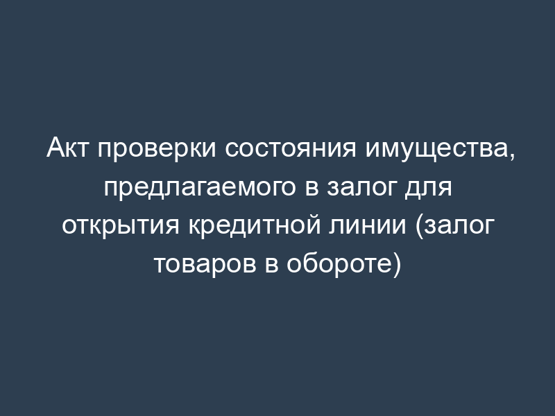 Акт проверки состояния имущества, предлагаемого в залог для открытия кредитной линии (залог товаров в обороте)