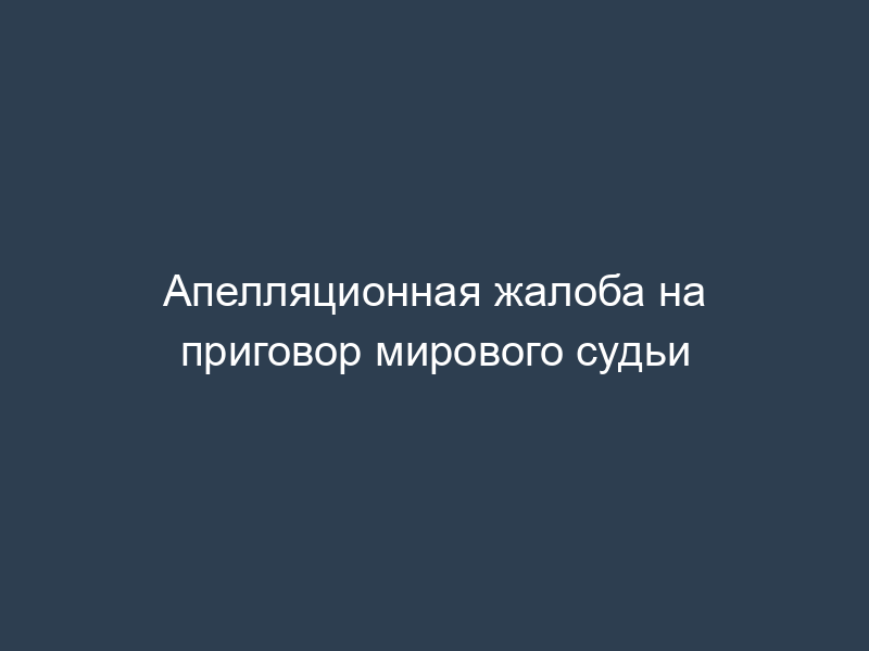 Апелляционная жалоба на приговор мирового судьи