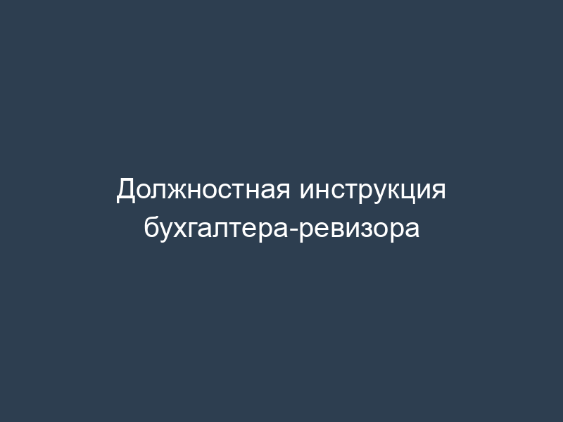 Должностная инструкция бухгалтера-ревизора