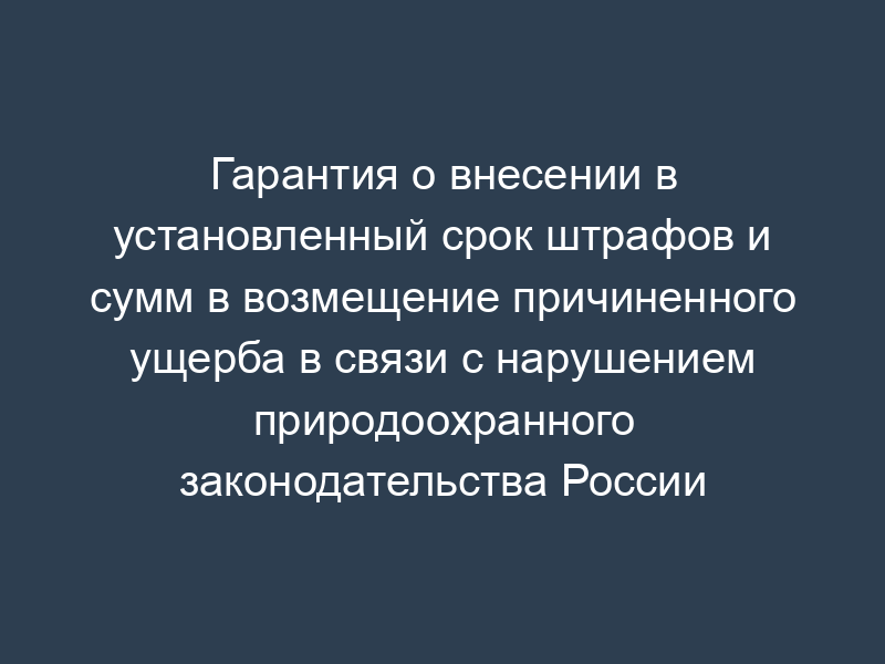 Гарантия о внесении в установленный срок штрафов и сумм в возмещение причиненного ущерба в связи с нарушением природоохранного законодательства России