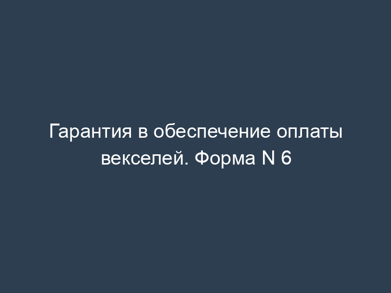 Гарантия в обеспечение оплаты векселей. Форма N 6