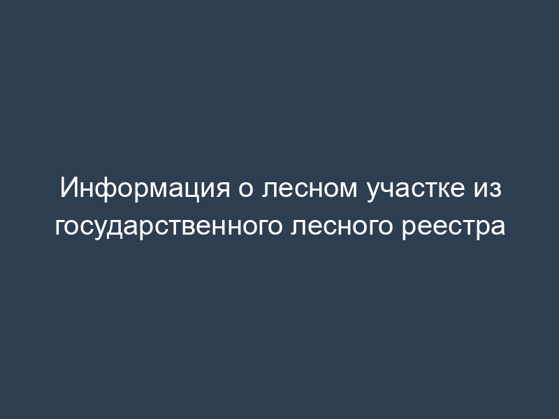 Информация о лесном участке из государственного лесного реестра