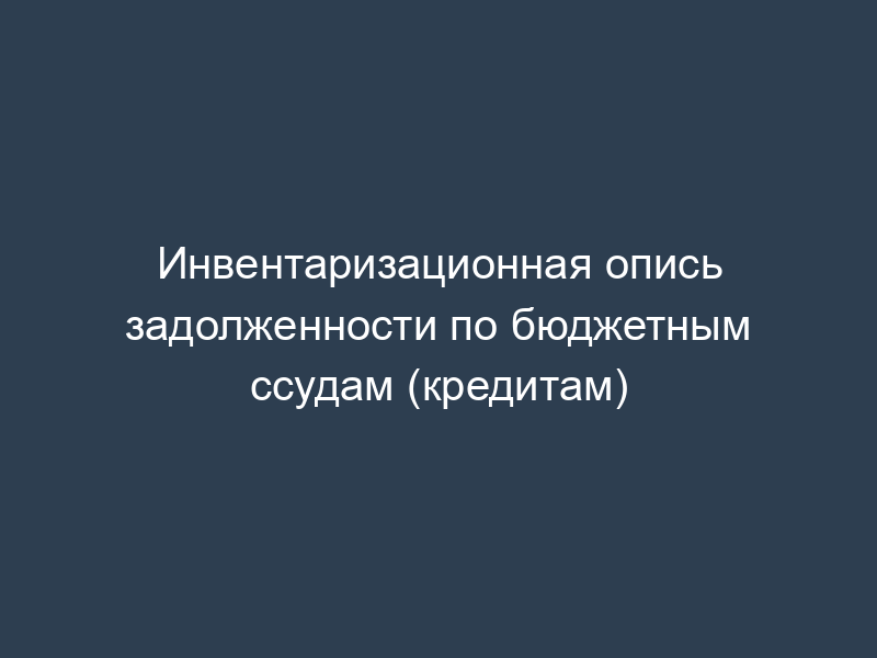 Инвентаризационная опись задолженности по бюджетным ссудам (кредитам)