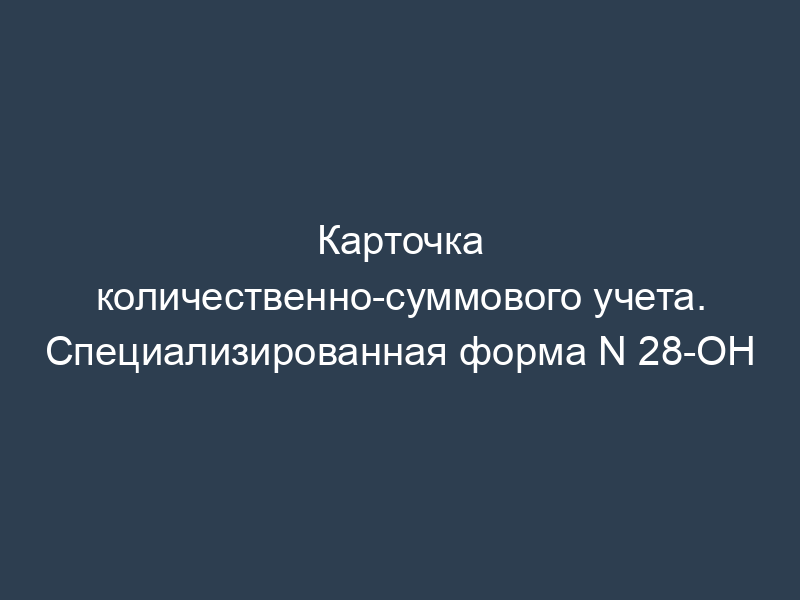 Карточка количественно-суммового учета. Специализированная форма N 28-ОН
