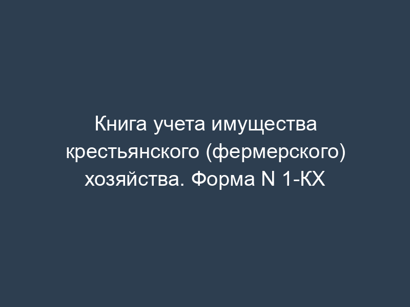 Книга учета имущества крестьянского (фермерского) хозяйства. Форма N 1-КХ