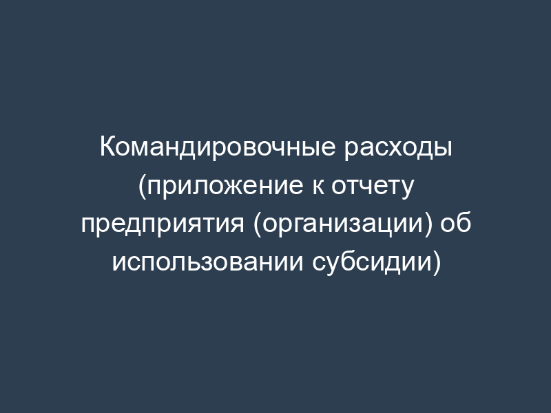 Командировочные расходы (приложение к отчету предприятия (организации) об использовании субсидии)
