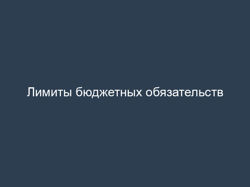 Лимиты бюджетных обязательств