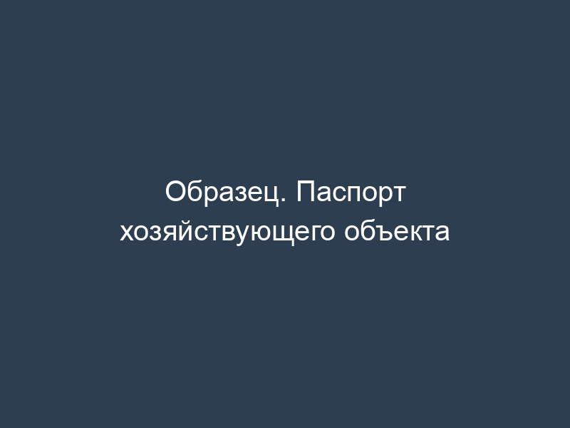 Образец. Паспорт хозяйствующего объекта