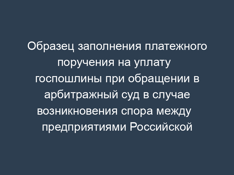 Образец заполнения платежного поручения на уплату   госпошлины при обращении в арбитражный суд в случае возникновения спора между   предприятиями Российской Федерации (в регионах, где действуют органы налоговой службы   в качестве владельца счета дох