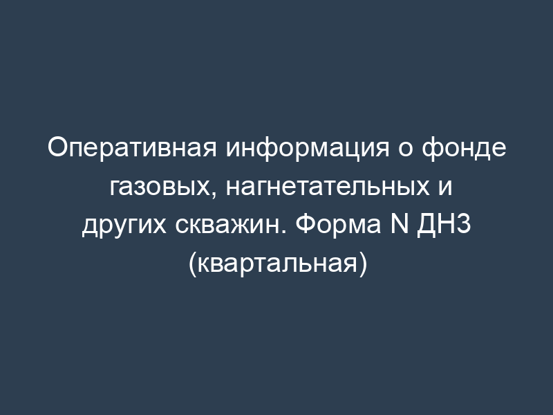 Оперативная информация о фонде газовых, нагнетательных и других скважин. Форма N ДН3 (квартальная)