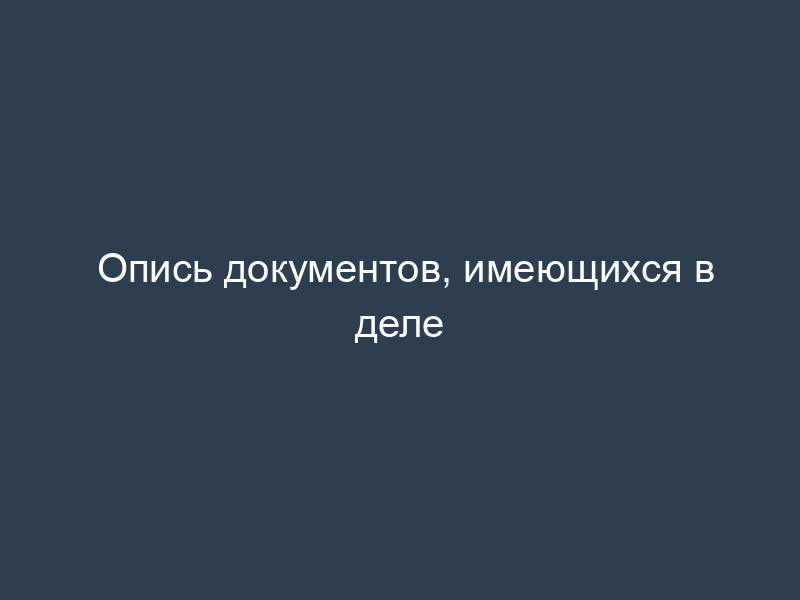 Опись документов, имеющихся в деле