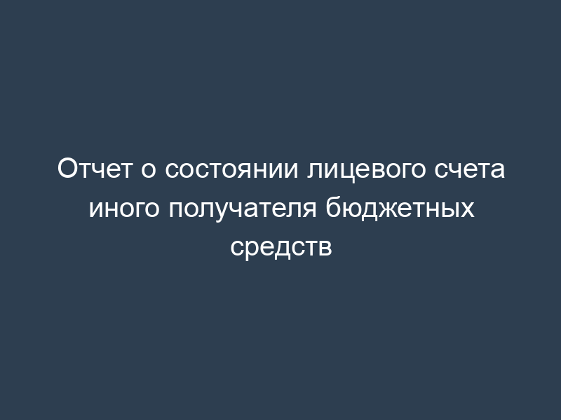 Отчет о состоянии лицевого счета иного получателя бюджетных средств