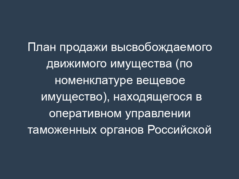 План продажи высвобождаемого движимого имущества (по номенклатуре вещевое имущество), находящегося в оперативном управлении таможенных органов Российской Федерации