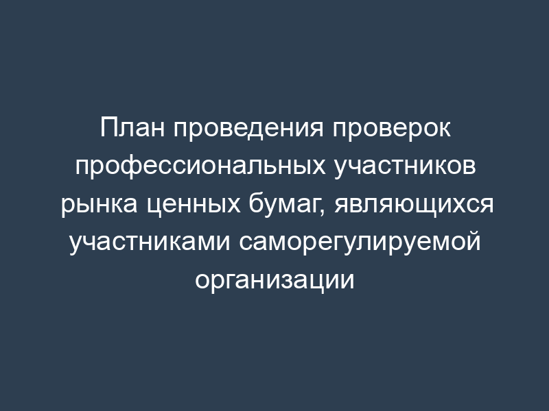 План проведения проверок профессиональных участников рынка ценных бумаг, являющихся участниками саморегулируемой организации
