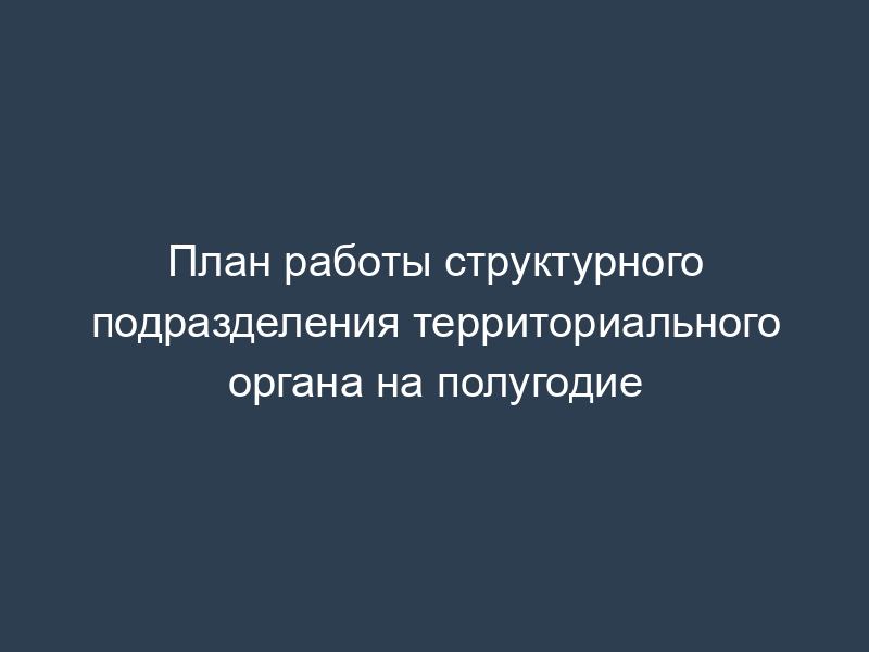 План работы структурного подразделения территориального органа на полугодие