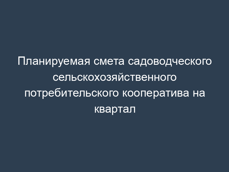 Планируемая смета садоводческого сельскохозяйственного потребительского кооператива на квартал