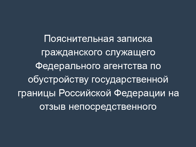 Пояснительная записка гражданского служащего Федерального агентства по обустройству государственной границы Российской Федерации на отзыв непосредственного руководителя