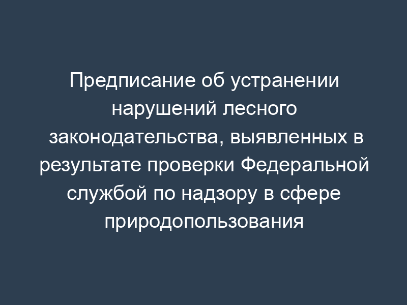 Предписание об устранении нарушений лесного законодательства, выявленных в результате проверки Федеральной службой по надзору в сфере природопользования
