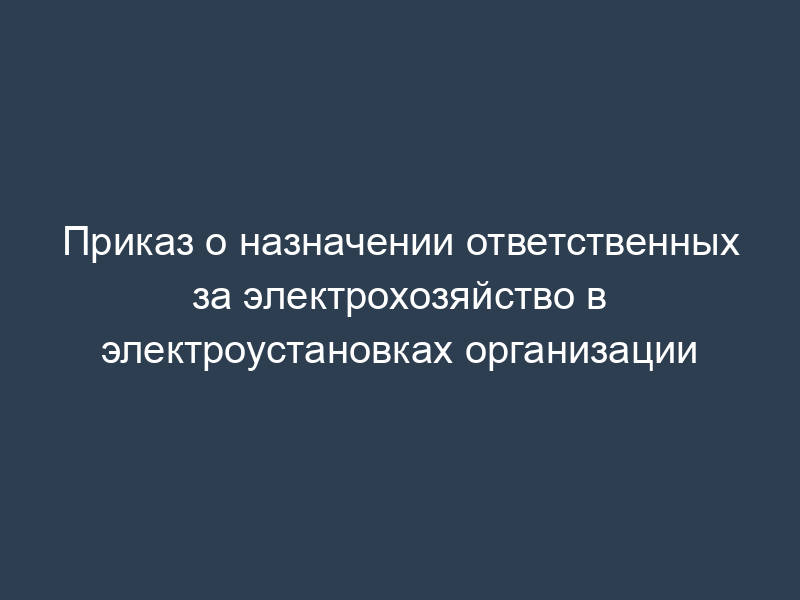 Приказ о назначении ответственных за электрохозяйство в электроустановках организации
