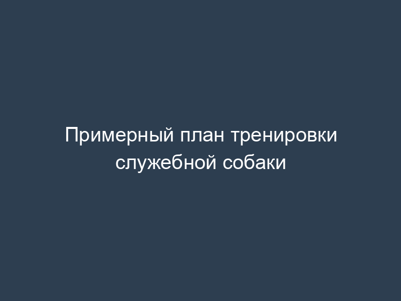 Примерный план тренировки служебной собаки
