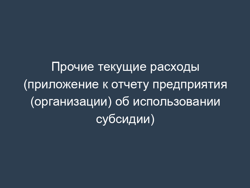 Прочие текущие расходы (приложение к отчету предприятия (организации) об использовании субсидии)