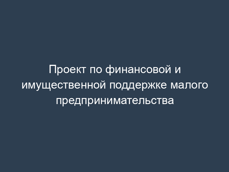 Проект по финансовой и имущественной поддержке малого предпринимательства