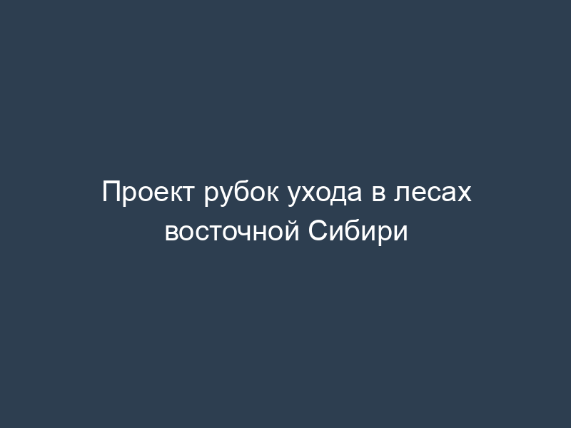 Проект рубок ухода в лесах восточной Сибири