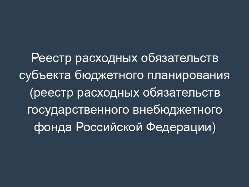 Реестр расходных обязательств субъекта бюджетного планирования (реестр расходных обязательств государственного внебюджетного фонда Российской Федерации)