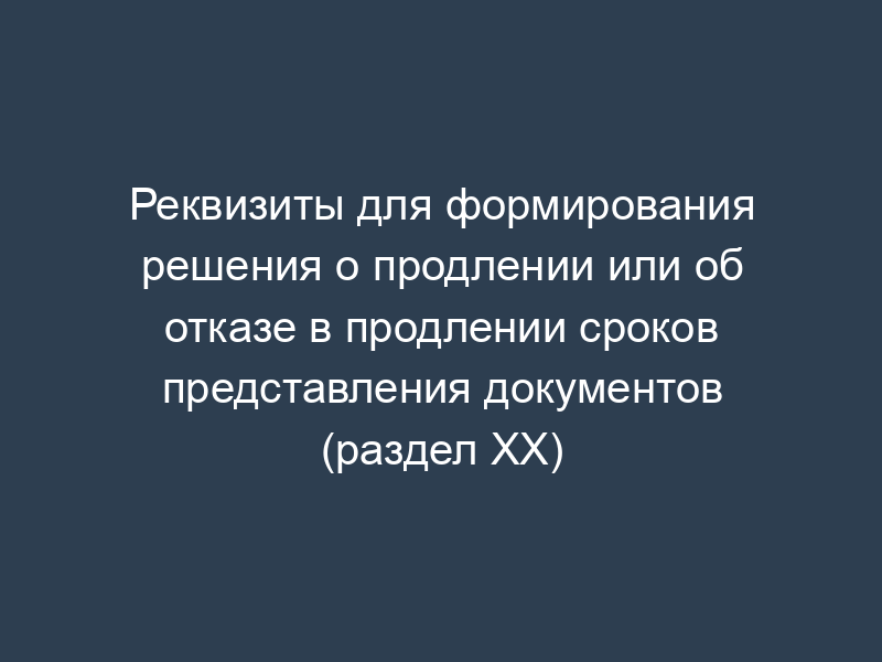 Реквизиты для формирования решения о продлении или об отказе в продлении сроков представления документов (раздел XX)