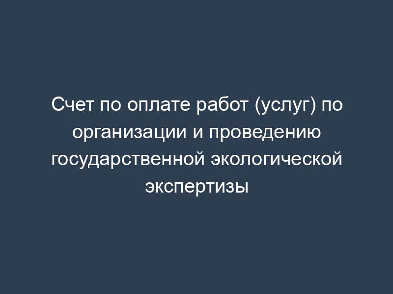 Счет по оплате работ (услуг) по организации и проведению государственной экологической экспертизы