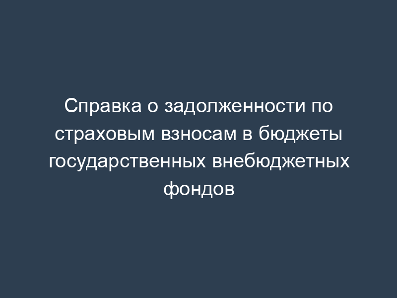 Справка о задолженности по страховым взносам в бюджеты государственных внебюджетных фондов