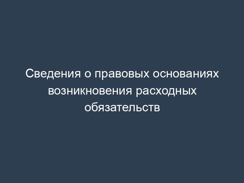 Сведения о правовых основаниях возникновения расходных обязательств