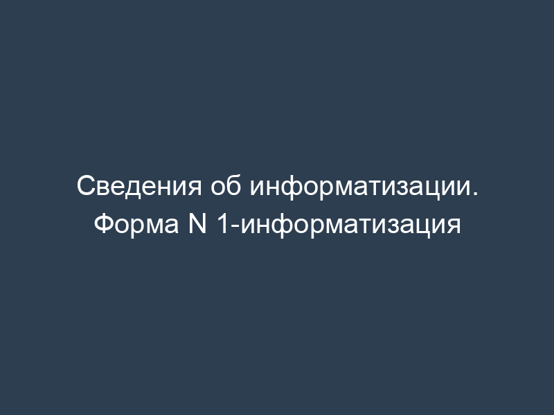 Сведения об информатизации. Форма N 1-информатизация