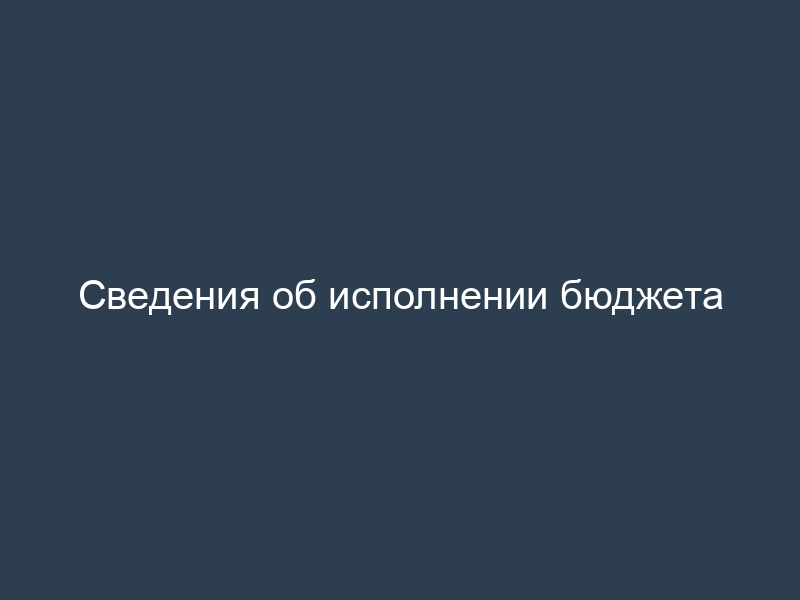 Сведения об исполнении бюджета