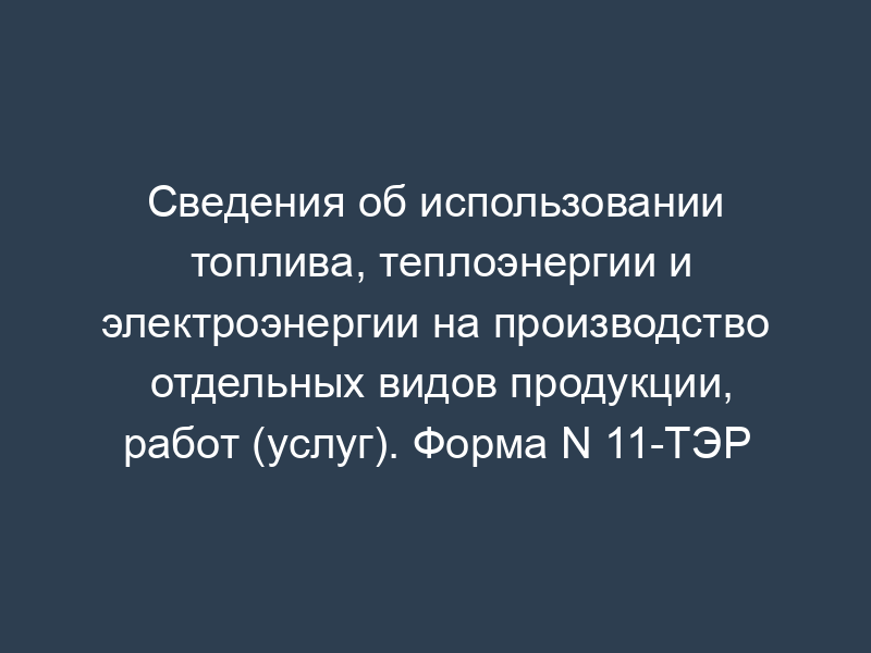 Сведения об использовании топлива, теплоэнергии и электроэнергии на производство отдельных видов продукции, работ (услуг). Форма N 11-ТЭР