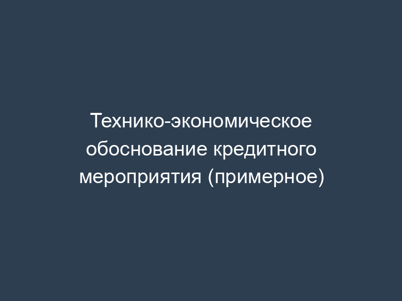 Технико-экономическое обоснование кредитного мероприятия (примерное)
