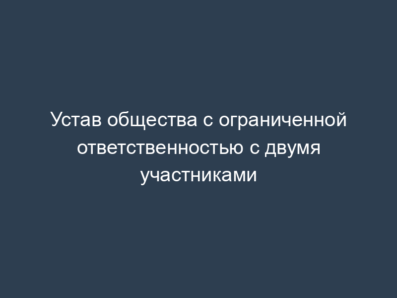 Устав общества с ограниченной ответственностью с двумя участниками