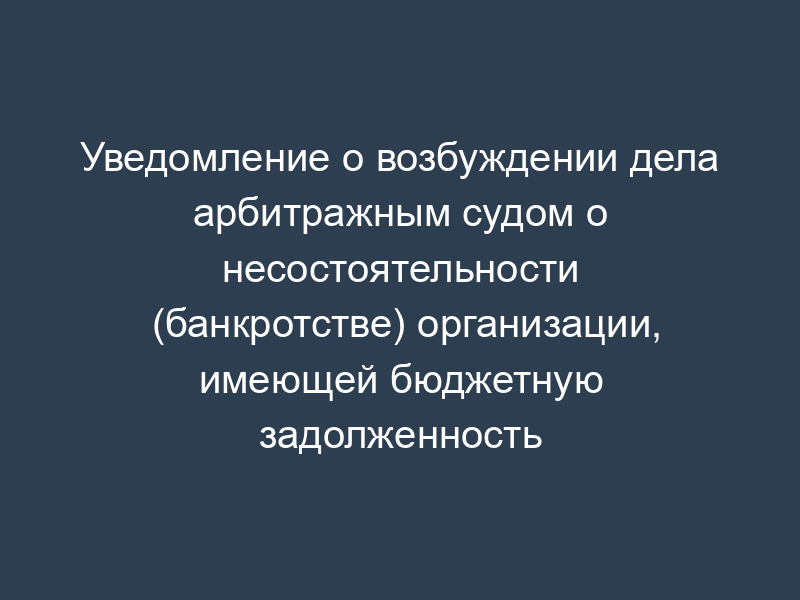Уведомление о возбуждении дела арбитражным судом о несостоятельности (банкротстве) организации, имеющей бюджетную задолженность