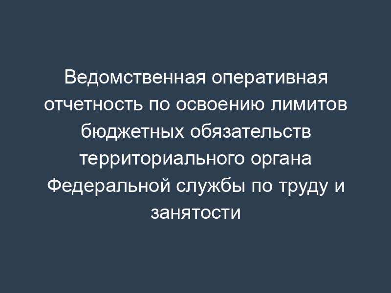 Ведомственная оперативная отчетность по освоению лимитов бюджетных обязательств территориального органа Федеральной службы по труду и занятости