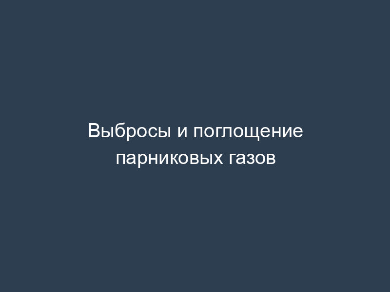 Выбросы и поглощение парниковых газов