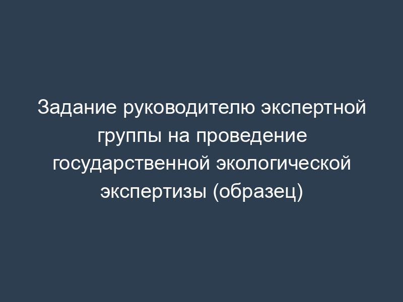 Задание руководителю экспертной группы на проведение государственной экологической экспертизы (образец)