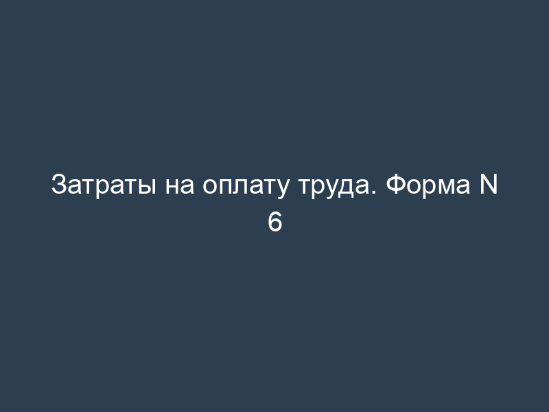Затраты на оплату труда. Форма N 6