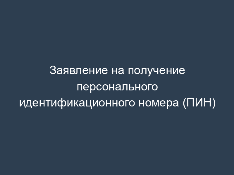 Заявление на получение персонального идентификационного номера (ПИН)